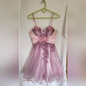 Cinderella Blush and Lavender Womens Dress